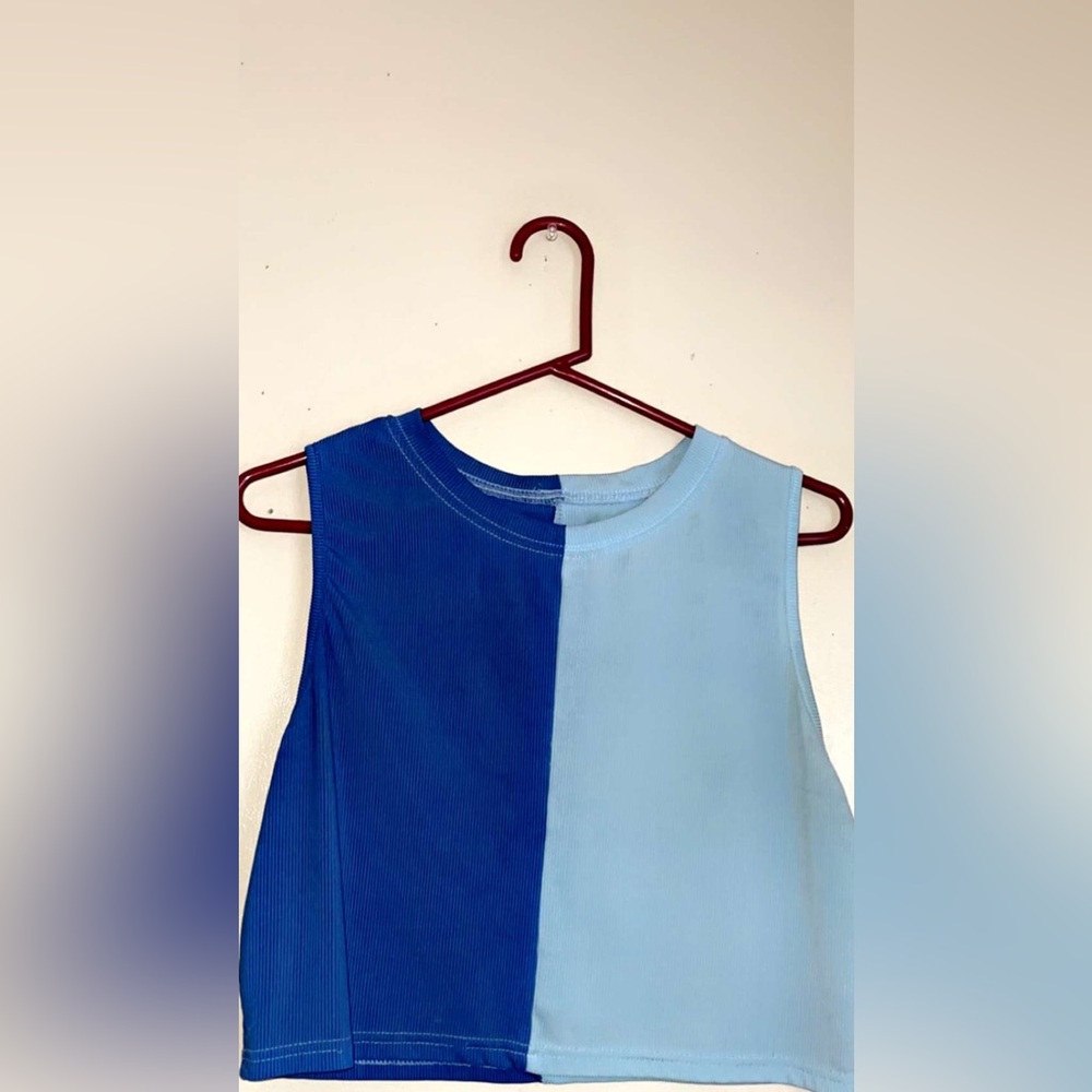 Blue Crop Top